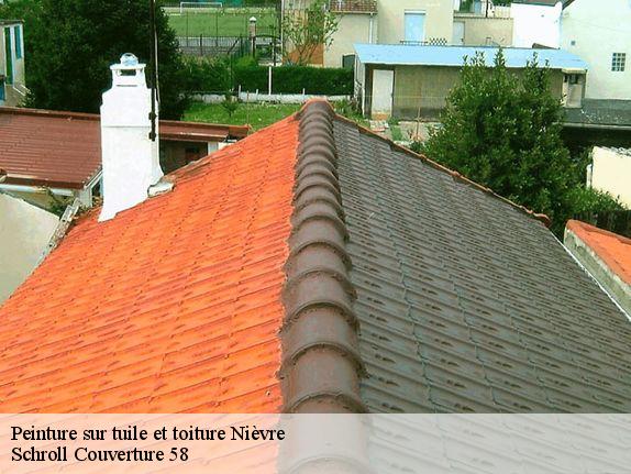 Peinture sur tuile et toiture 58 Nièvre  Schroll Couverture 58
