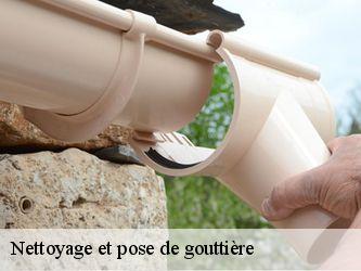 Nettoyage et pose de gouttière Nièvre 