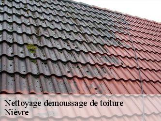 Nettoyage demoussage de toiture Nièvre 