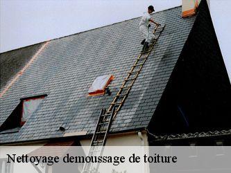 Nettoyage demoussage de toiture Nièvre 