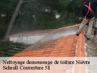 Nettoyage demoussage de toiture Nièvre 