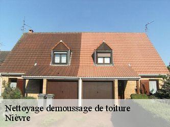 Nettoyage demoussage de toiture Nièvre 