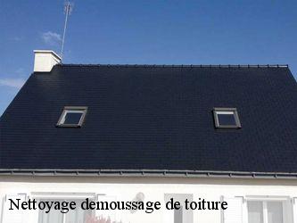 Nettoyage demoussage de toiture Nièvre 