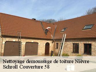 Nettoyage demoussage de toiture Nièvre 