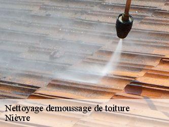 Nettoyage demoussage de toiture Nièvre 