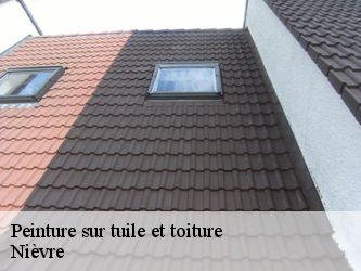 Peinture sur tuile et toiture Nièvre 