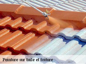 Peinture sur tuile et toiture Nièvre 