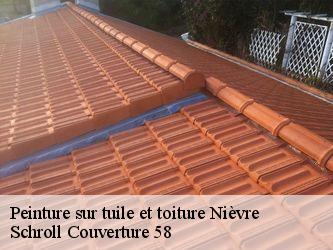 Peinture sur tuile et toiture Nièvre 