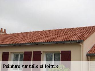 Peinture sur tuile et toiture Nièvre 