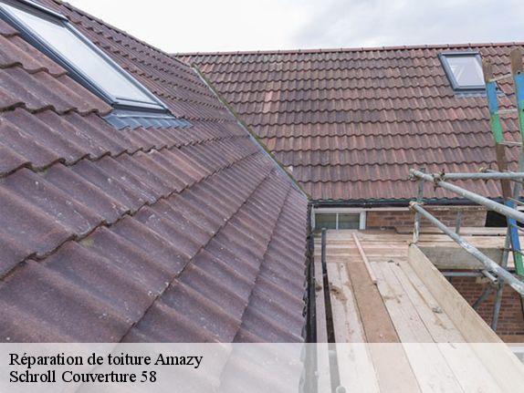 Réparation de toiture  amazy-58190 Schroll Couverture 58