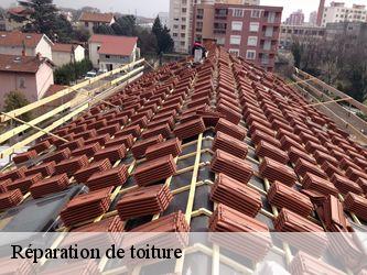 Réparation de toiture  58190