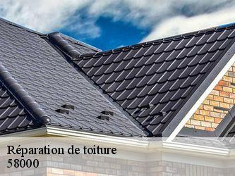 Réparation de toiture  58000