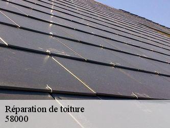 Réparation de toiture  58000