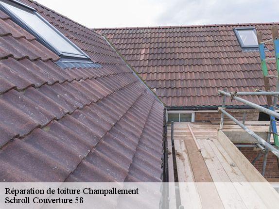 Réparation de toiture  champallement-58420 Schroll Couverture 58