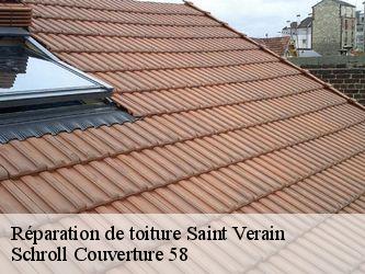 Réparation de toiture  58310