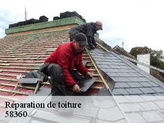 Réparation de toiture  58360
