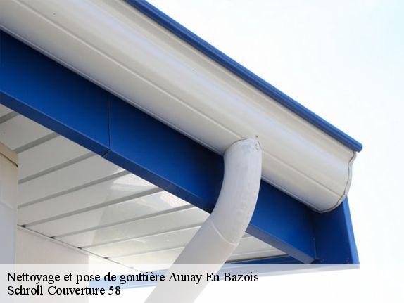 Nettoyage et pose de gouttière  aunay-en-bazois-58110 Schroll Couverture 58