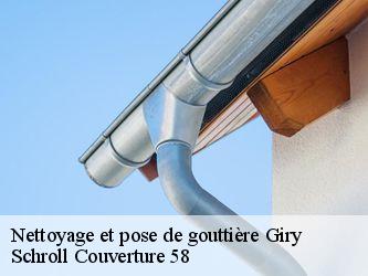 Nettoyage et pose de gouttière  58700