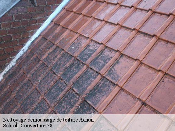 Nettoyage demoussage de toiture  achun-58110 Schroll Couverture 58