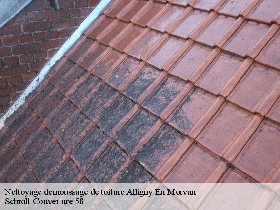 Nettoyage demoussage de toiture  alligny-en-morvan-58230 Schroll Couverture 58