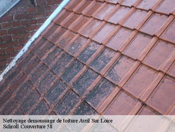 Nettoyage demoussage de toiture  avril-sur-loire-58300 Schroll Couverture 58