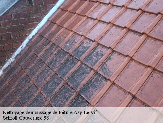 Nettoyage demoussage de toiture  azy-le-vif-58240 Schroll Couverture 58
