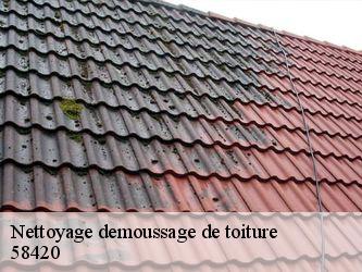 Nettoyage demoussage de toiture  58420