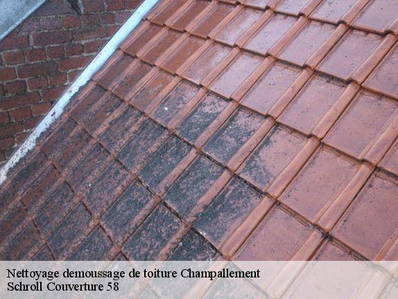 Nettoyage demoussage de toiture  champallement-58420 Schroll Couverture 58