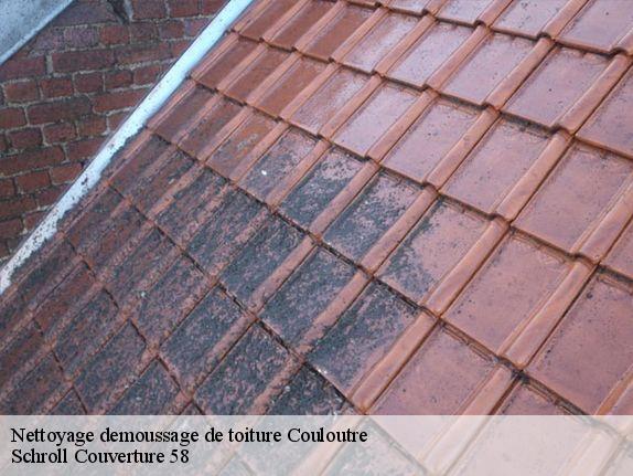 Nettoyage demoussage de toiture  couloutre-58220 Schroll Couverture 58