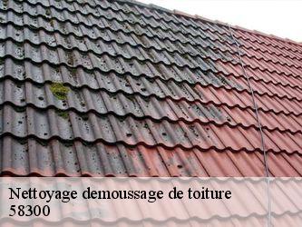 Nettoyage demoussage de toiture  58300