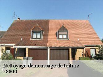 Nettoyage demoussage de toiture  58800