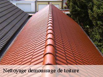 Nettoyage demoussage de toiture  58370