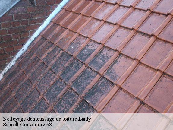 Nettoyage demoussage de toiture  lanty-58250 Couverture Schroll