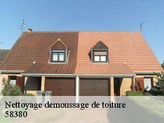 Nettoyage demoussage de toiture  58380