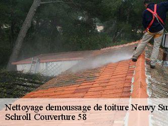 Nettoyage demoussage de toiture  58450