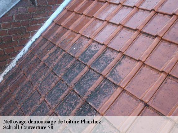 Nettoyage demoussage de toiture  planchez-58230 Schroll Couverture 58