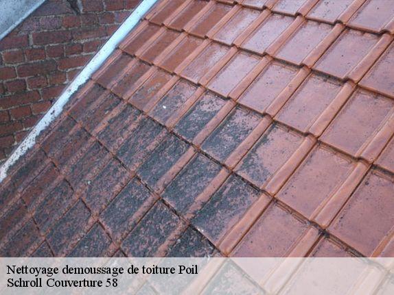 Nettoyage demoussage de toiture  poil-58170 Schroll Couverture 58