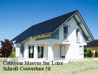 Couvreur  58400