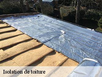 Isolation de toiture  58200