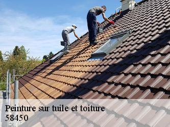 Peinture sur tuile et toiture  58450