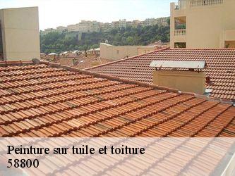 Peinture sur tuile et toiture  58800