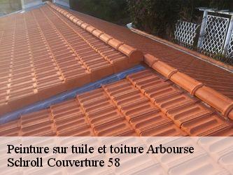 Peinture sur tuile et toiture  58350