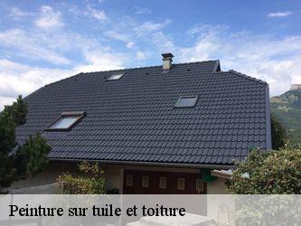 Peinture sur tuile et toiture  58420