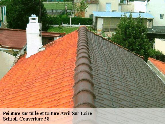 Peinture sur tuile et toiture  avril-sur-loire-58300 Schroll Couverture 58