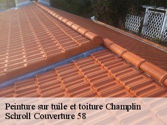 Peinture sur tuile et toiture  58700