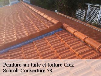 Peinture sur tuile et toiture  58220