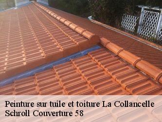 Peinture sur tuile et toiture  58800