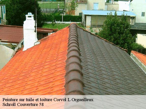 Peinture sur tuile et toiture  corvol-l-orgueilleux-58460 Schroll Couverture 58