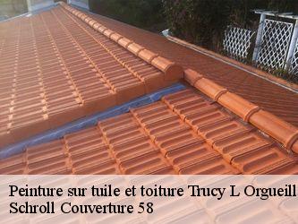 Peinture sur tuile et toiture  58460